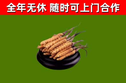 清流县烟酒回收冬虫夏草.jpg